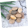 TEHAUX 10 Pack Hand Painted Stones Set with Bracket Kids