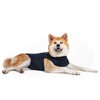 Animal Pet Shirt Small Navy