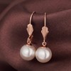 Pearl Earrings Rose Gold Pearl Earrings Pearl Leverback Earrings Silver