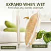 Egyptian Natural Loofah Sponge for Body Back Face Scrub, 100%