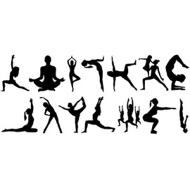 Pack of 14 Yoga Pilates Stickers - Laptop Stickers - Scrapbook Stickers - Car Stickers - Water Bottle Stickers - Stickers Party Bags - Birthday Gifts for Women (Medium)