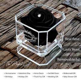 A 100% Real Rose That Lasts Years - Eternal Petals, Handmade in UK – White Gold Solo with A Multicolor Crystal (Black)