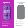 Spindrift "Concord Freeze" Grape Soda Made With Real Squeezed Fruit