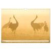 Bei den Kranichen (Wandkalender 2026 DIN A4 quer), CALVENDO Monatskalender