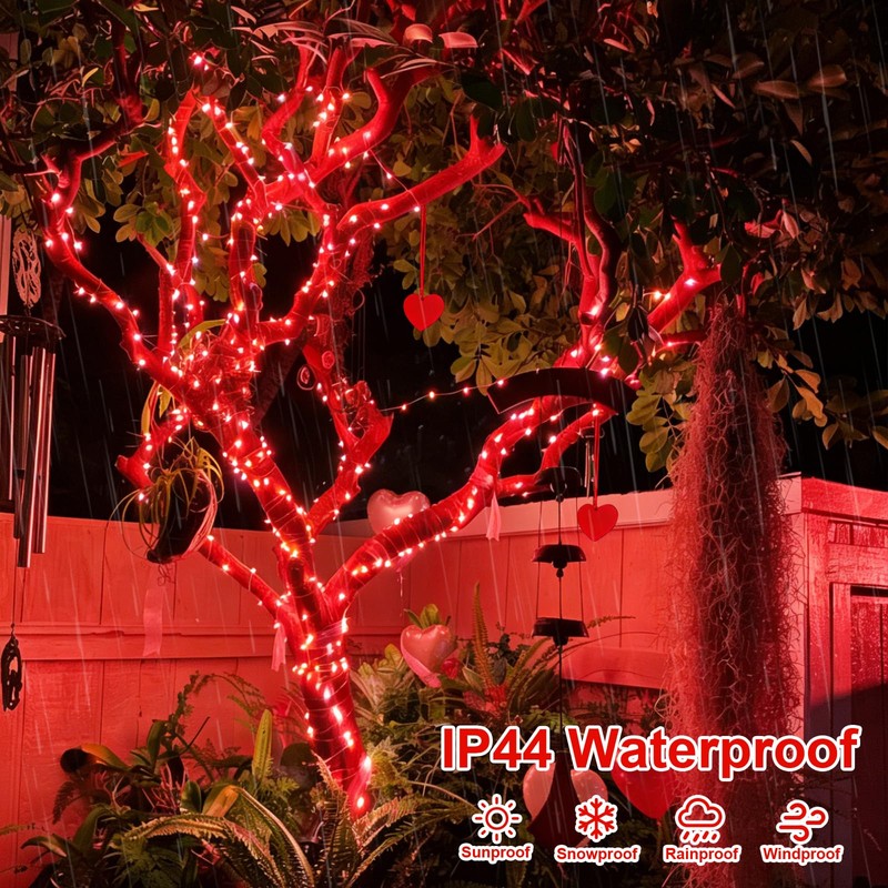 QITONG 4 Pack Solar Fairy Lights, Each 33ft 100 LED