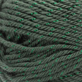 Caron Yarn Simply Soft PAR DK, Dark Sage Sparkle