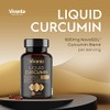Liquid Curcumin - 60 Capsules - 185x Turmeric or Curcumin