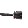 Engine Fuel Injection Ignition Harness Compatible with GM Left Hand