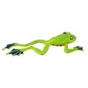 Flying Tree Frog