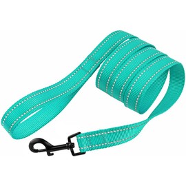 CollarDirect Nylon Dog Leash 1.5M Daily Walking Running Training Durable Reflective Leash for Large Medium Small Dogs
