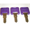 Gillette G390 Purple RV Motorhome Trailer Keys - 3 Pack