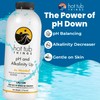 Hot Tub Things pH Up & Alkalinity Increaser for Hot