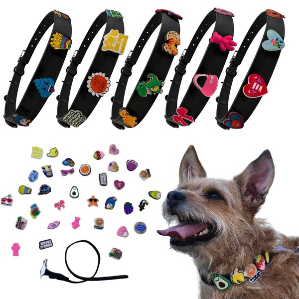 Dog Collar with Charms, XS/Small, Medium, Large and XL Pets,