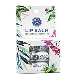 Lip Balm Set: All-Natural Shea Butter, Beeswax, Coconut Oil, Vitamin E Infused Lip Moisturizer Care (3 Pack, Peppermint Eucalyptus)