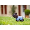 LeMieux Tiny Pony Freya - Soft Brown Coat - Pocket-Friendly