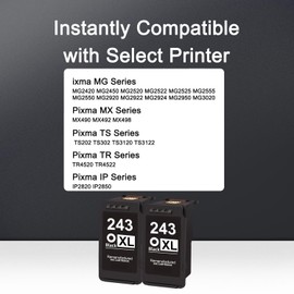 PG-243 Black Ink Cartridge Replacement for Canon 243XL 243 PG-243XL Ink Combo Pack Work for PIXMA MX490 MG2500 TS3122 TS3322 MG2522 MG2922 TS202 TR4520 TR4522 Printers (2 Black)