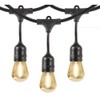 Feit Electric 48' LED Filament String Light Set