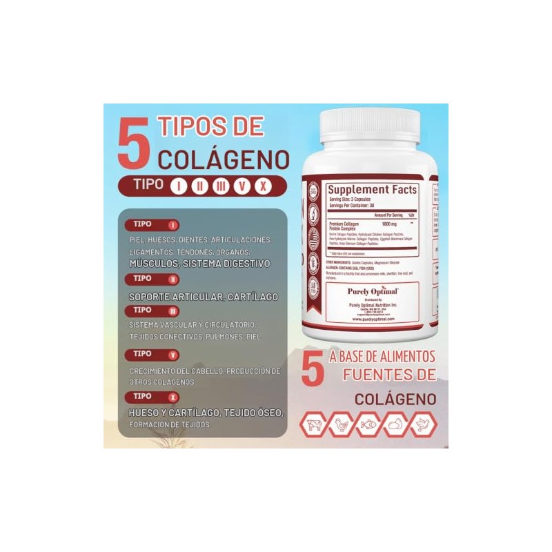 Premium Multi Collagen Peptide Capsules (Types I,II,III,V,X) - Anti-Aging Formula,