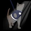 Cat Harnesses and Puppy Harness with Leashes Set, Escape Proof