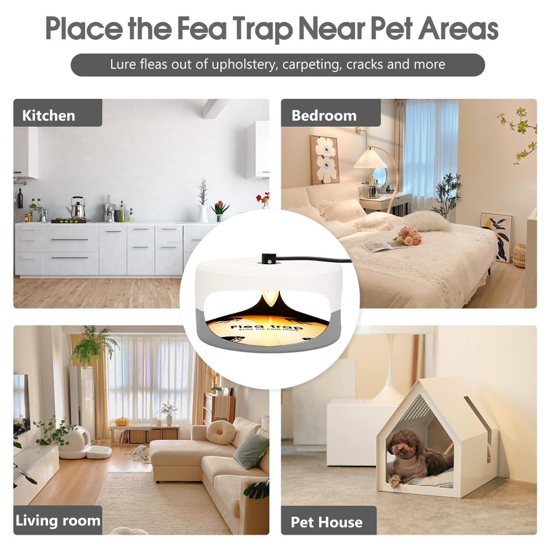 2 Pack Flea Traps for Inside Your Home, Indoor Flea