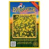 Everwilde Farms - 2000 Goldfields Native Wildflower Seeds - Gold