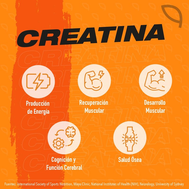 VITO | Creatina Monohidratada de Alta Pureza en Polvo |