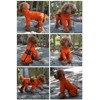 Dogs Waterproof Jacket, Lightweight Waterproof Jacket Reflective Safety Dog Raincoat