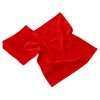 Lashuma 3 x Kitchen Towels Terry Cloth 50 x 50