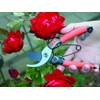 Garten Primus 01020 Secateurs, Rose Shears, Vine Shears, Women's Shears,