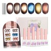 Esmaltes Uñas Gel Efecto Ojo Gato 6 Units 12 Ml+
