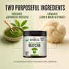 LRLA SUPERFOODS Polvo De Matcha De Hongo Melena De León