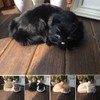 GeKLok Simulation Sleeping Cat Toy, Lifelike Sleeping Cat, Realistic Sleeping