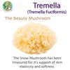 Fantastic Fungi Tremella Mushroom Nutrient Extract Powder | Highly concentrated