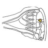 Moog - Alignment Cam/Bolt Kit - (K100009)