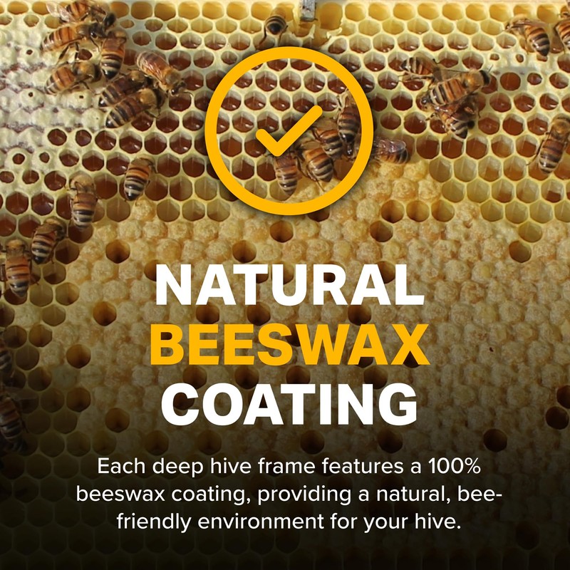 Mann Lake Premium Beekeeping Frames, Fully Assembled, Enhanced Max Wax