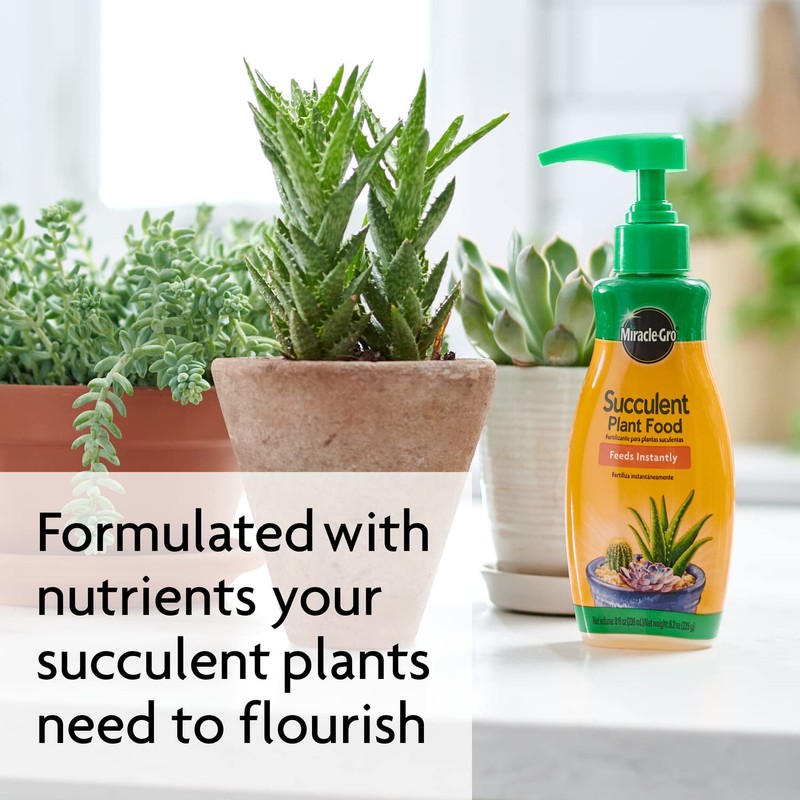 Miracle-Gro Succulent Plant Food, Liquid Plant Food for All Indoor