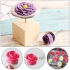 Cake Flower Nail & Flower Lifters 6 Pcs/Set, Flower Nails