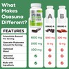 900 mg Liposomal Artemisinin for Maximum Absorption, Sweet Wormwood Extract(Artemisia