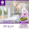 OdoBan OdoBan Ready-to-Use Disinfectant and Odor Eliminator, Set of 2
