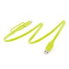 TYLT FLYP-DUO Reversible USB Cable - 1M - Green