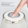 Electric Garlic Chopper 3 Blade Powerful Motor Multifunctional Food Processor