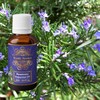 Precious Aromas Rosemary Oil for Hair Growth,Skin,Aromatherapy 100% Pure &