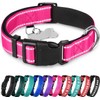 TECEUM - Collar para perro azul cielo - Collar para