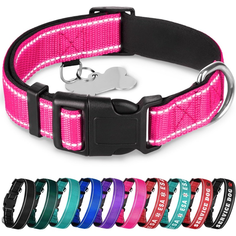TECEUM - Collar para perro azul cielo - Collar para