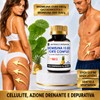 BROMELINA 10.000 GDU/g GASTROPROTETTA CON BROMELINA 5000 GDU/g CENTELLA PILOSELLA