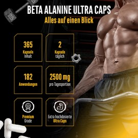 Beta Alanine Ultra Caps - 365 Capsules - High Dose with 1250 mg per Capsule - Beta Alanine Amino Acid with 99% Purity - No Unwanted Additives