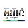 Card Skin - Mexico Placas (Mexican License Plate) Card Stickers
