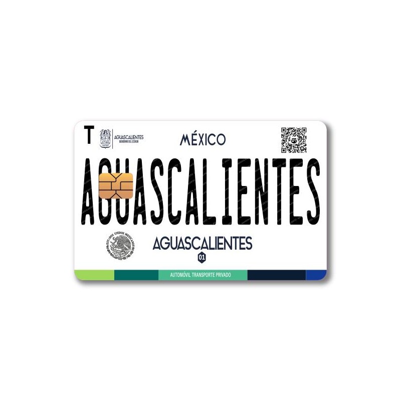 Card Skin - Mexico Placas (Mexican License Plate) Card Stickers