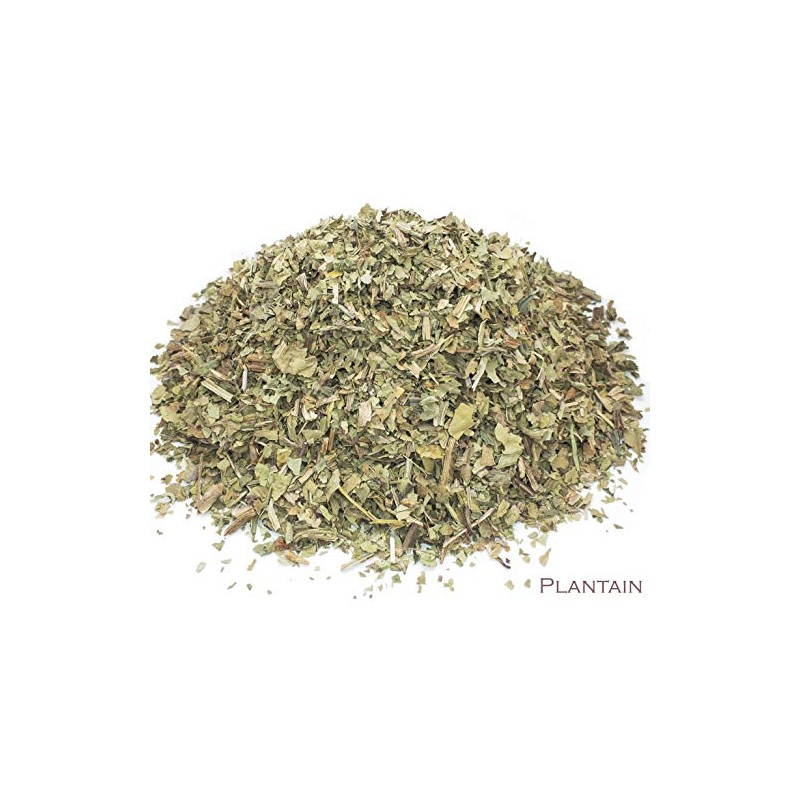 Plantain Leaf and Green Tea Herbal Infusion (Gyokuro - 25