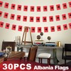 Albania String Flag Pennant Banner, Small Mini Albanian Flags Bunting